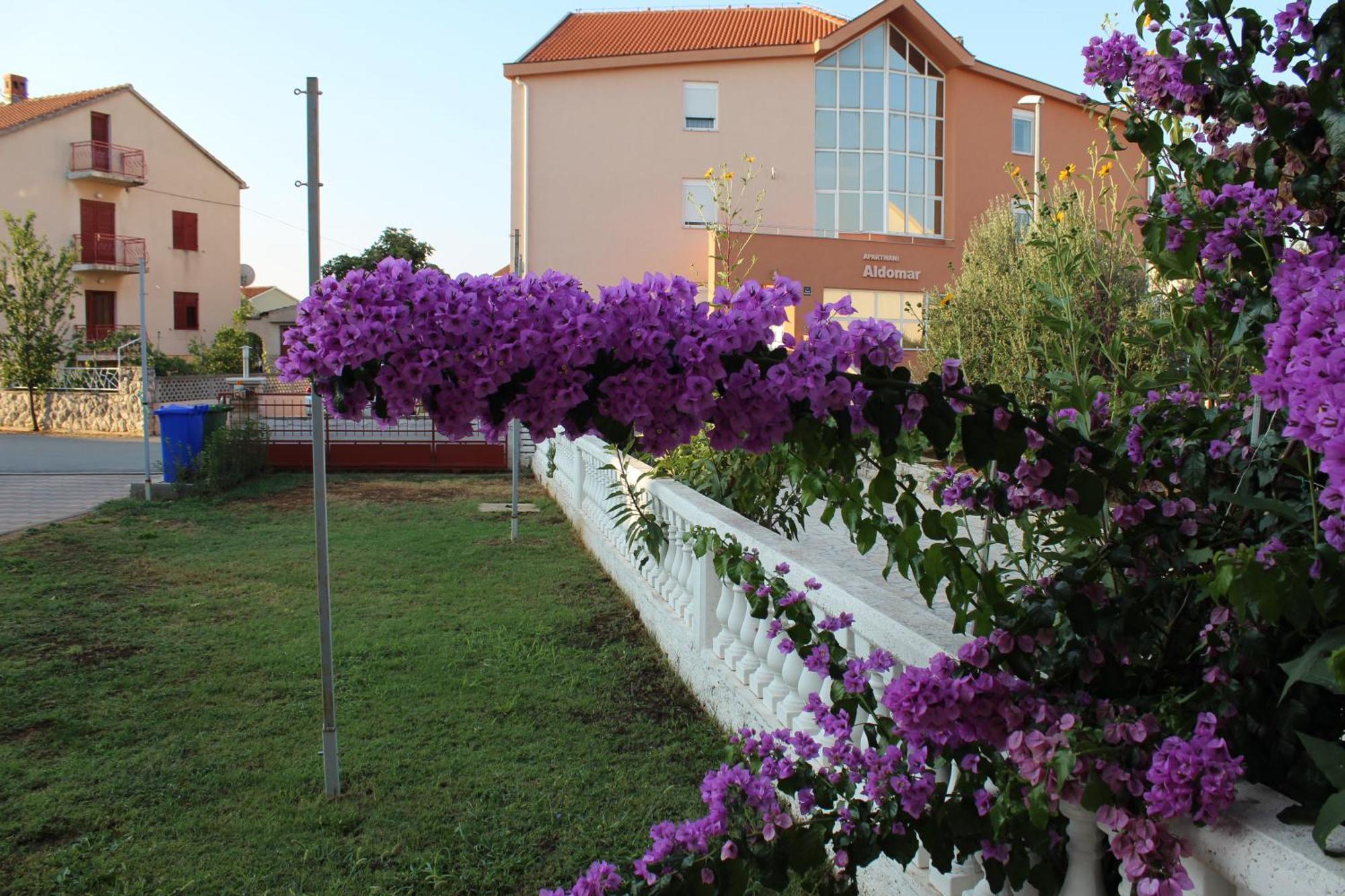 Apartment Mladen Biograd Na Moru Buitenkant foto
